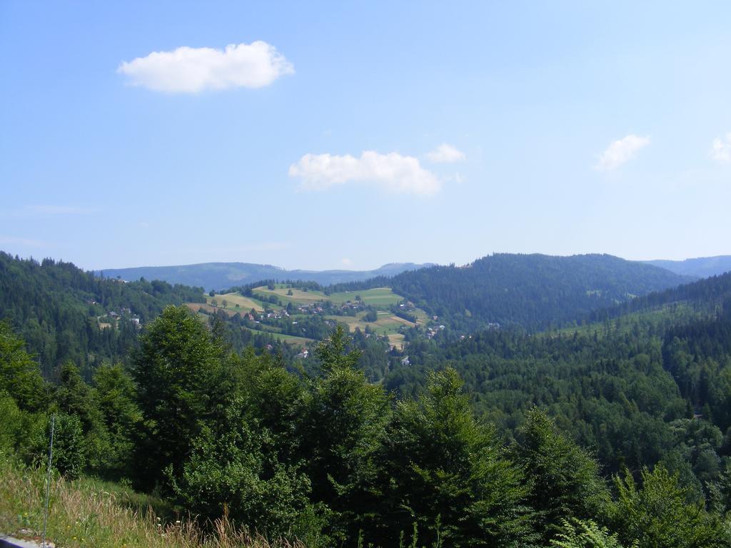 Rezydencja Prezydenta Rp Zamek W Wisle Wisla Exterior photo